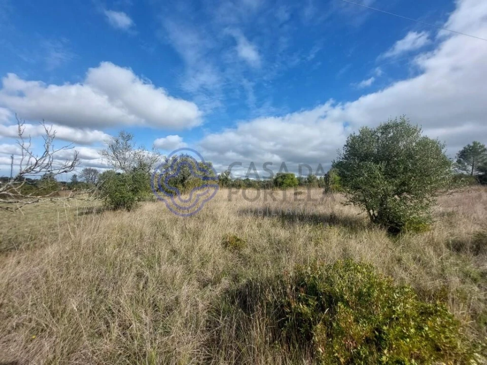 Terreno para Venda em Azeitão (São Lourenço e São Simão) Foto 33