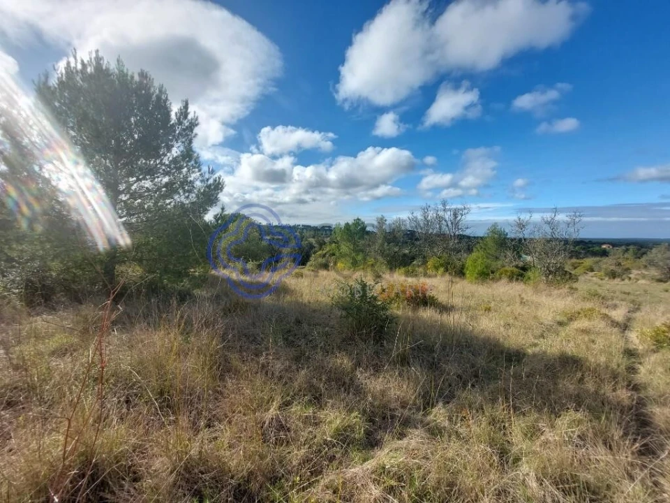 Terreno para Venda em Azeitão (São Lourenço e São Simão) Foto 28