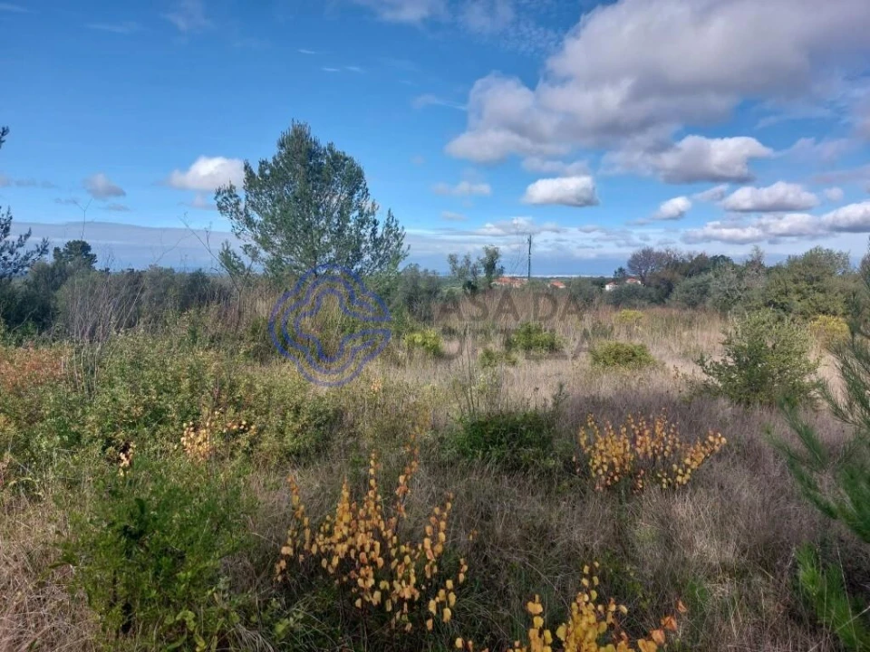 Terreno para Venda em Azeitão (São Lourenço e São Simão) Foto 10