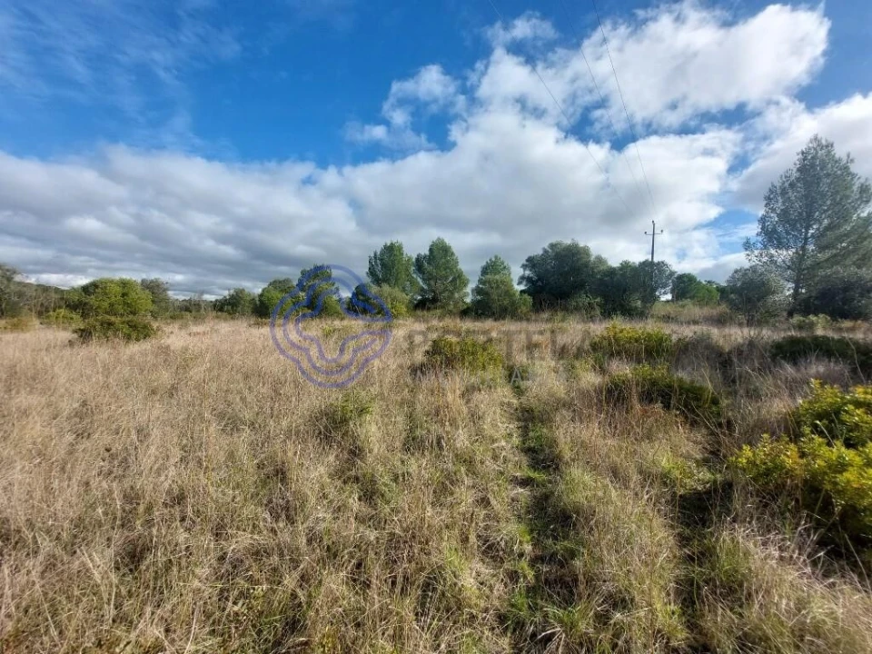 Terreno para Venda em Azeitão (São Lourenço e São Simão) Foto 26