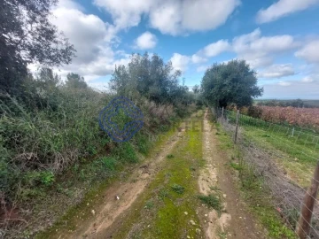 Terreno para Venda em Azeitão (São Lourenço e São Simão)
