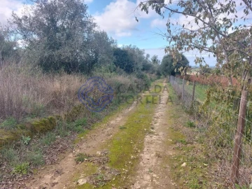 Terreno para Venda em Azeitão (São Lourenço e São Simão)
