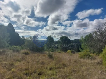 Terreno para Venda em Azeitão (São Lourenço e São Simão)