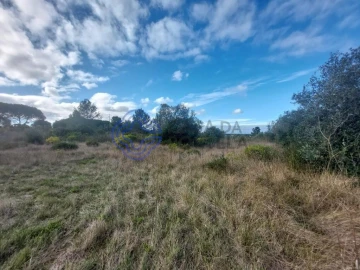 Terreno para Venda em Azeitão (São Lourenço e São Simão)