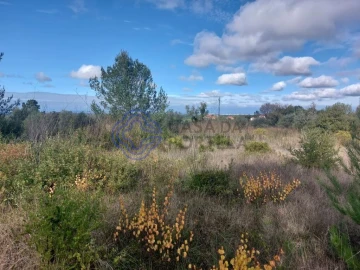 Terreno para Venda em Azeitão (São Lourenço e São Simão)