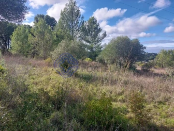 Terreno para Venda em Azeitão (São Lourenço e São Simão)