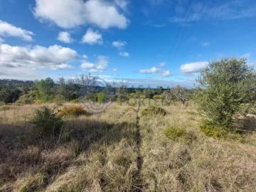Terreno para Venda em Azeitão (São Lourenço e São Simão)
