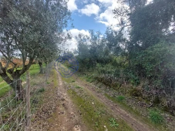 Terreno para Venda em Azeitão (São Lourenço e São Simão)