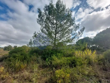 Terreno para Venda em Azeitão (São Lourenço e São Simão)