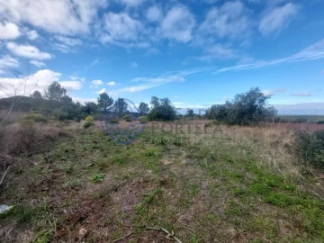Terreno para Venda em Azeitão (São Lourenço e São Simão)