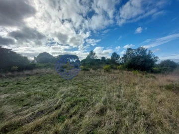 Terreno para Venda em Azeitão (São Lourenço e São Simão)