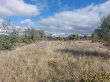 Terreno para Venda em Azeitão (São Lourenço e São Simão)