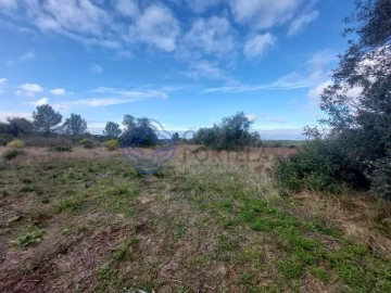 Terreno para Venda em Azeitão (São Lourenço e São Simão)