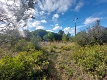 Terreno para Venda em Azeitão (São Lourenço e São Simão)