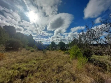 Terreno para Venda em Azeitão (São Lourenço e São Simão)