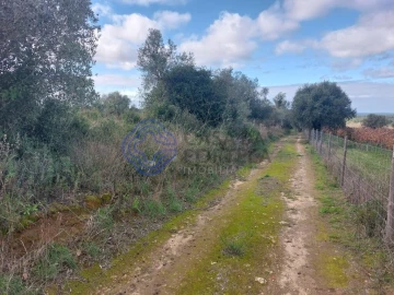 Terreno para Venda em Azeitão (São Lourenço e São Simão)
