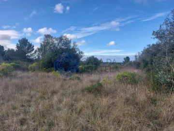 Terreno para Venda em Azeitão (São Lourenço e São Simão)