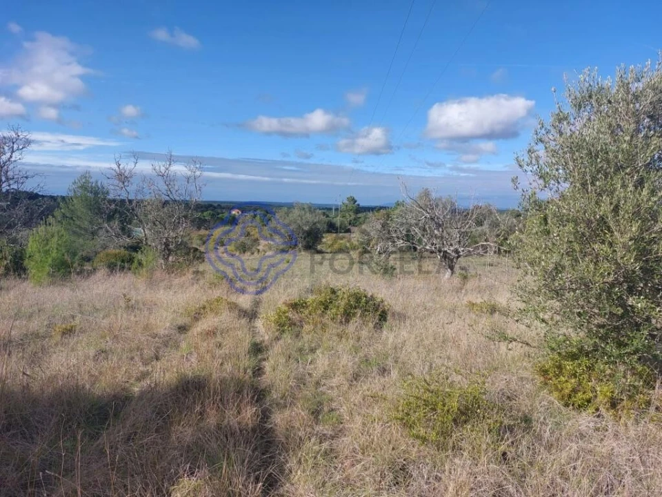 Terreno para Venda em Azeitão (São Lourenço e São Simão) Foto 22