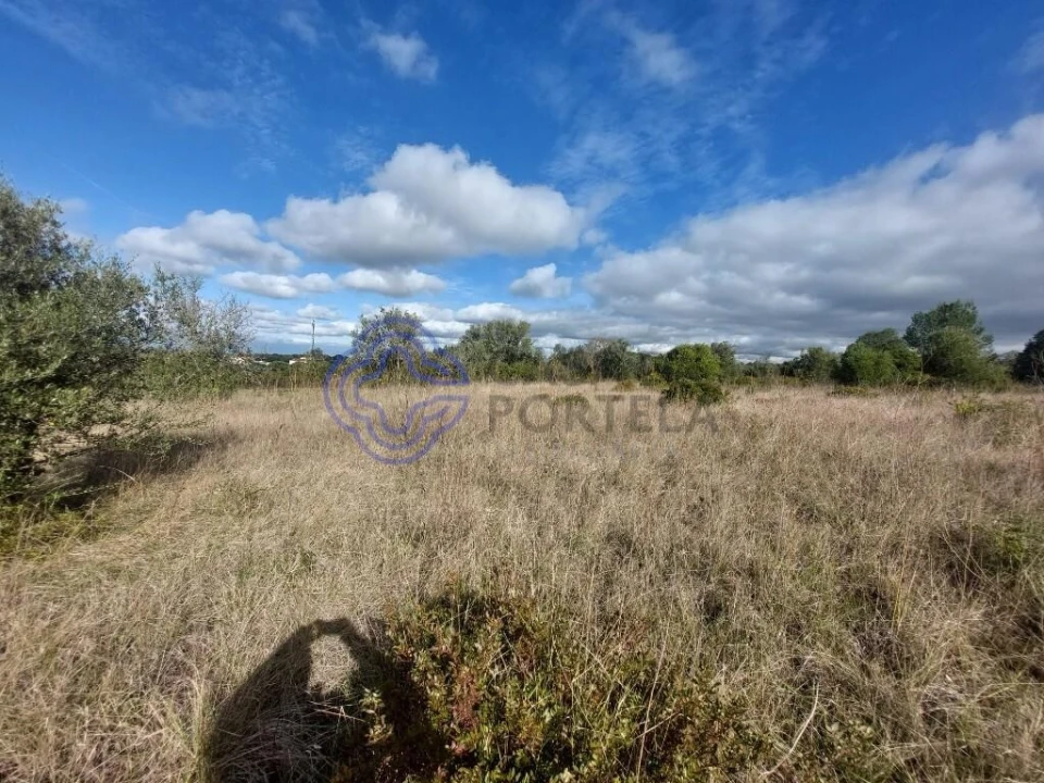 Terreno para Venda em Azeitão (São Lourenço e São Simão) Foto 25