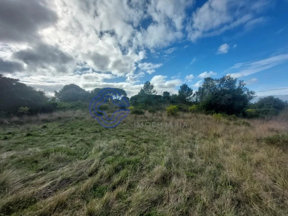 Terreno para Venda em Azeitão (São Lourenço e São Simão) Foto 1