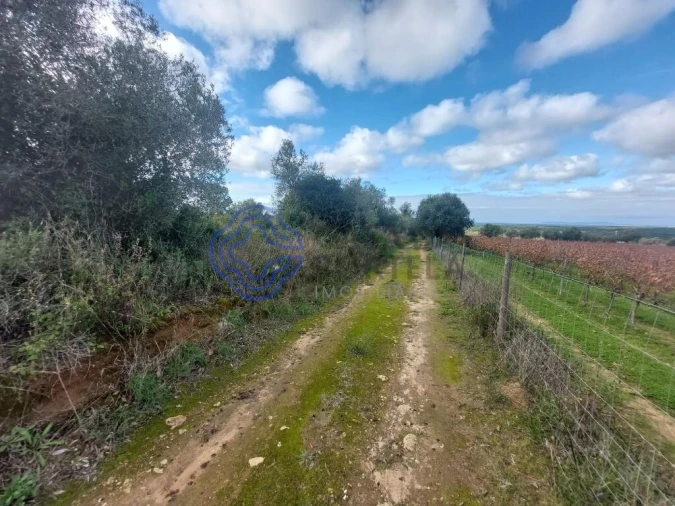 Terreno para Venda em Azeitão (São Lourenço e São Simão) Foto 41