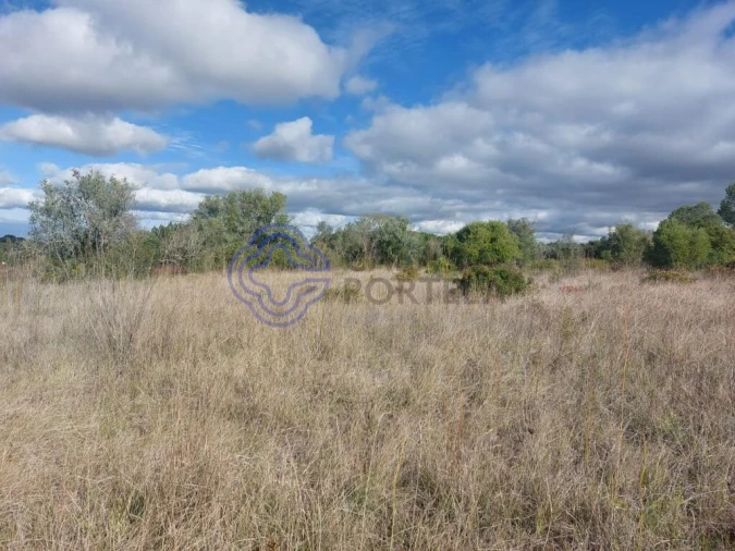 Terreno para Venda em Azeitão (São Lourenço e São Simão) Foto 23