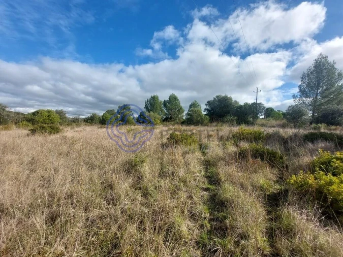 Terreno para Venda em Azeitão (São Lourenço e São Simão) Foto 26
