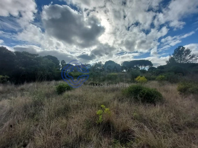 Terreno para Venda em Azeitão (São Lourenço e São Simão) Foto 8