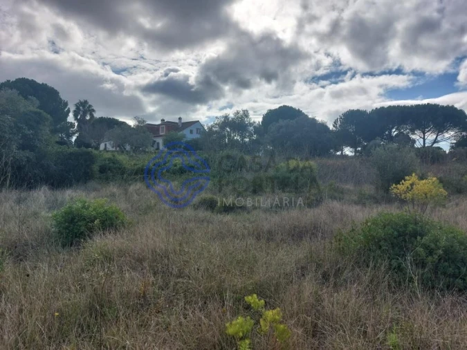 Terreno para Venda em Azeitão (São Lourenço e São Simão) Foto 9
