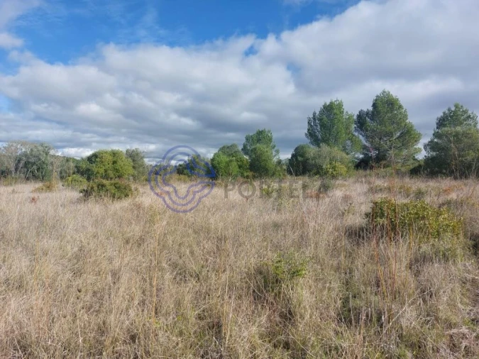 Terreno para Venda em Azeitão (São Lourenço e São Simão) Foto 24