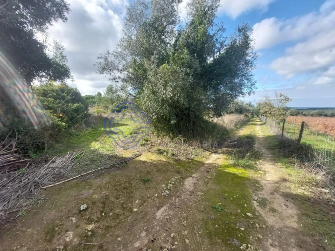 Terreno para Venda em Azeitão (São Lourenço e São Simão) Foto 45
