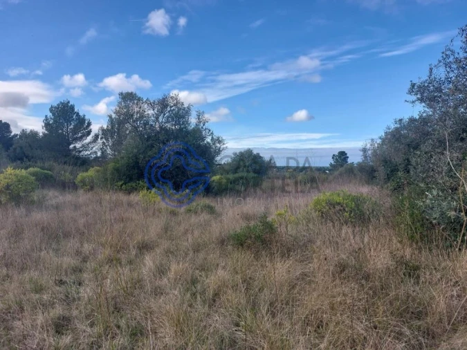 Terreno para Venda em Azeitão (São Lourenço e São Simão) Foto 5