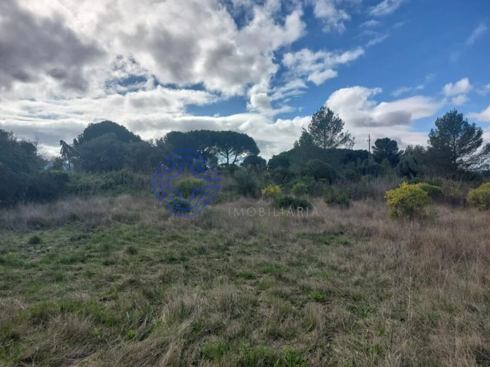 Terreno para Venda em Azeitão (São Lourenço e São Simão) Foto 6