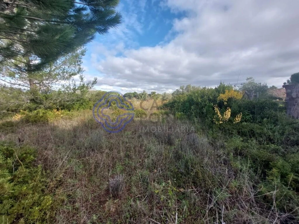Terreno para Venda em Azeitão (São Lourenço e São Simão) Foto 16