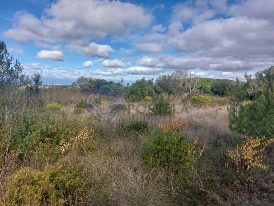 Terreno para Venda em Azeitão (São Lourenço e São Simão) Foto 11