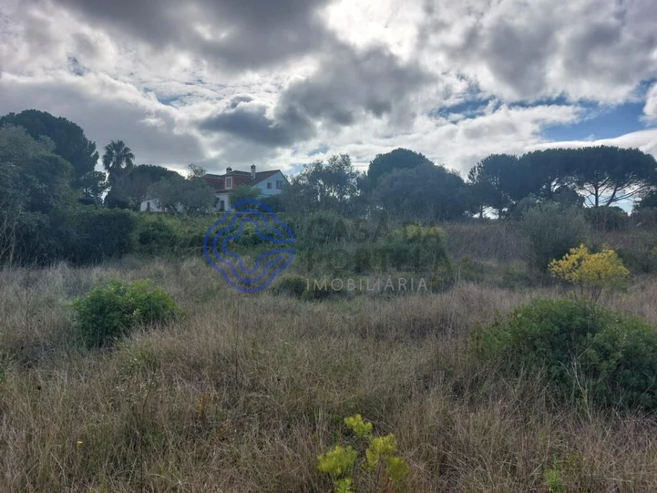 Terreno para Venda em Azeitão (São Lourenço e São Simão) Foto 9
