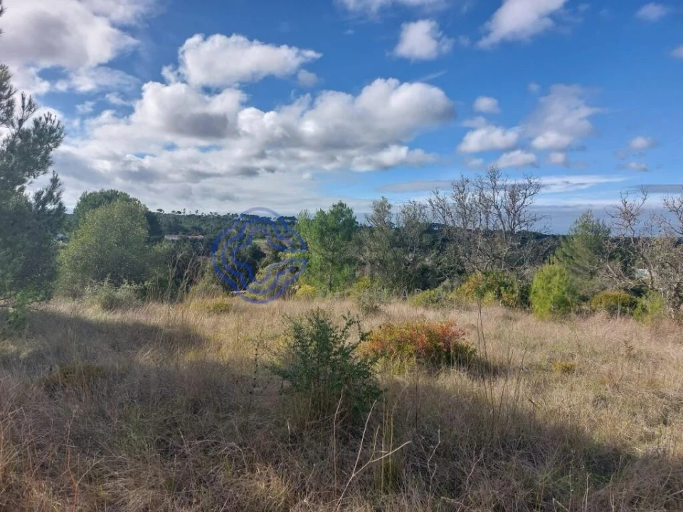 Terreno para Venda em Azeitão (São Lourenço e São Simão) Foto 21