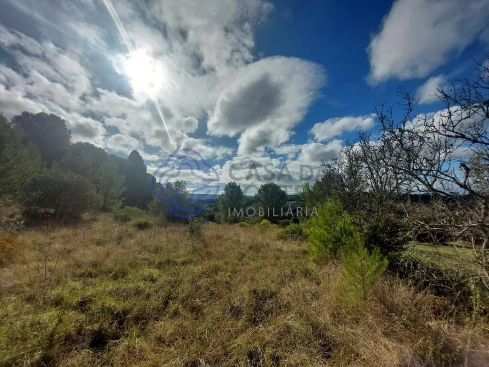 Terreno para Venda em Azeitão (São Lourenço e São Simão) Foto 29