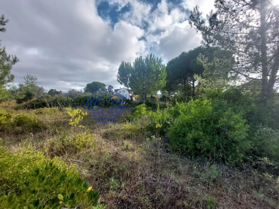 Terreno para Venda em Azeitão (São Lourenço e São Simão) Foto 12