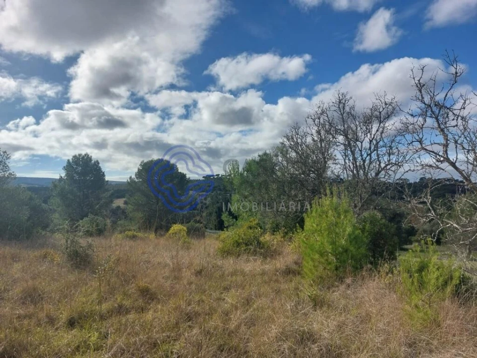 Terreno para Venda em Azeitão (São Lourenço e São Simão) Foto 31