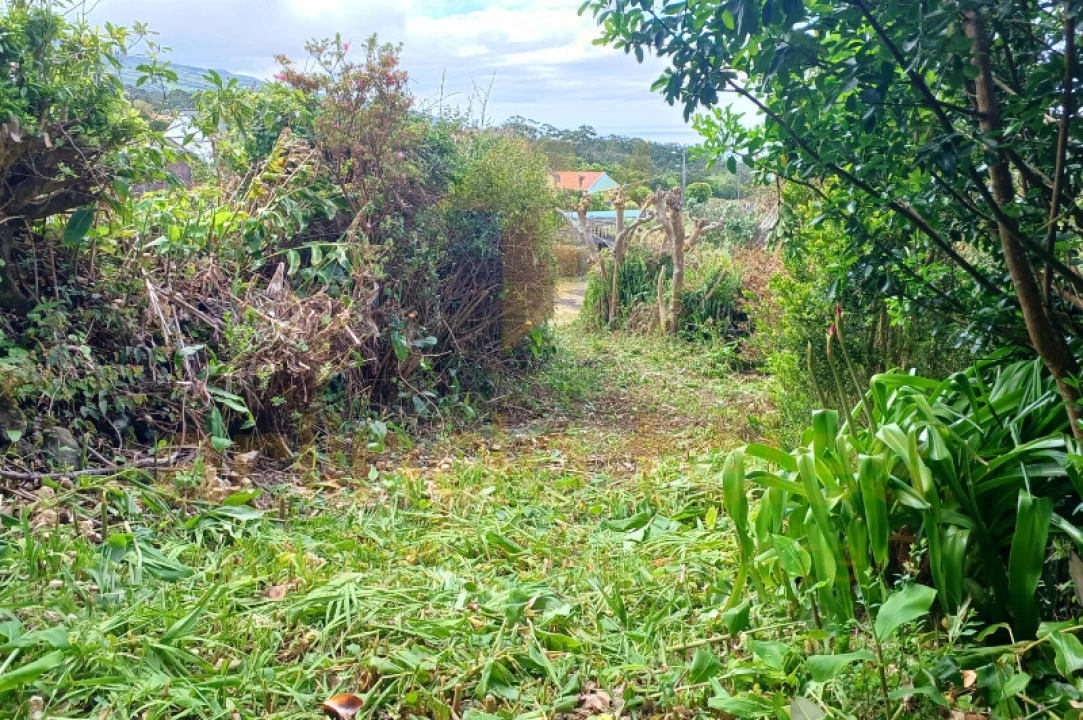 Moradia T5 para Venda em Norte Grande (Neves) Foto 34