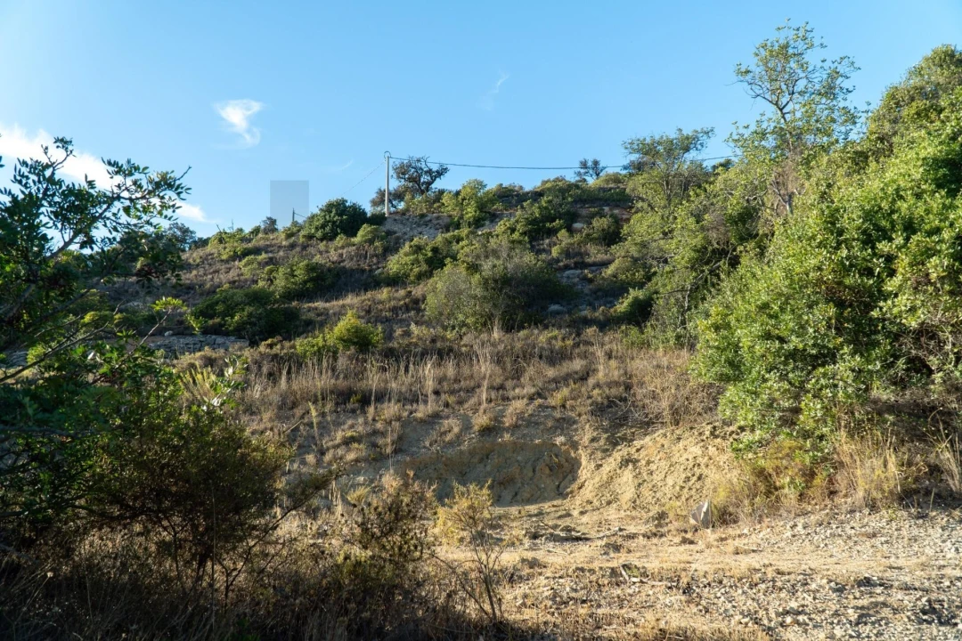 Terreno para Venda em Loule (São Sebastião) Foto 27