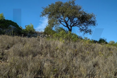 Terreno para Venda em Loule (São Sebastião)