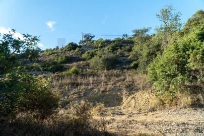 Terreno para Venda em Loule (São Sebastião)