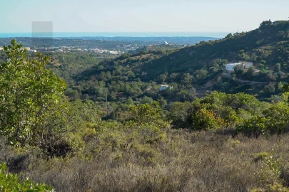 Terreno para Venda em Loule (São Sebastião)