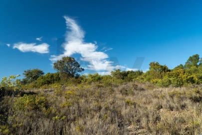 Terreno para Venda em Loule (São Sebastião)
