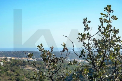 Terreno para Venda em Loule (São Sebastião)