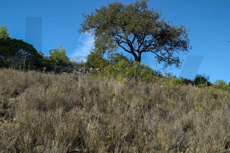 Terreno para Venda em Loule (São Sebastião) Foto 28