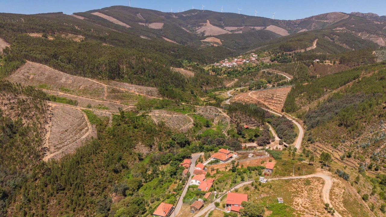 Moradia T3 para Venda em Alvares Foto 31