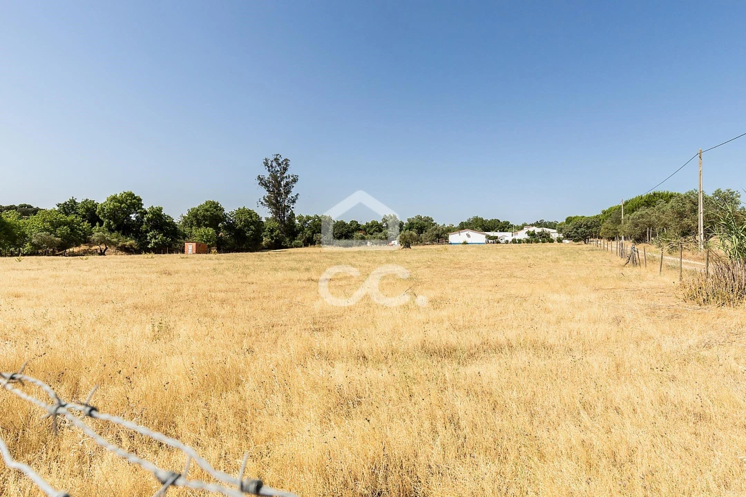 Quinta T3 para Venda em Bacelo e Senhora da Saúde Foto 54
